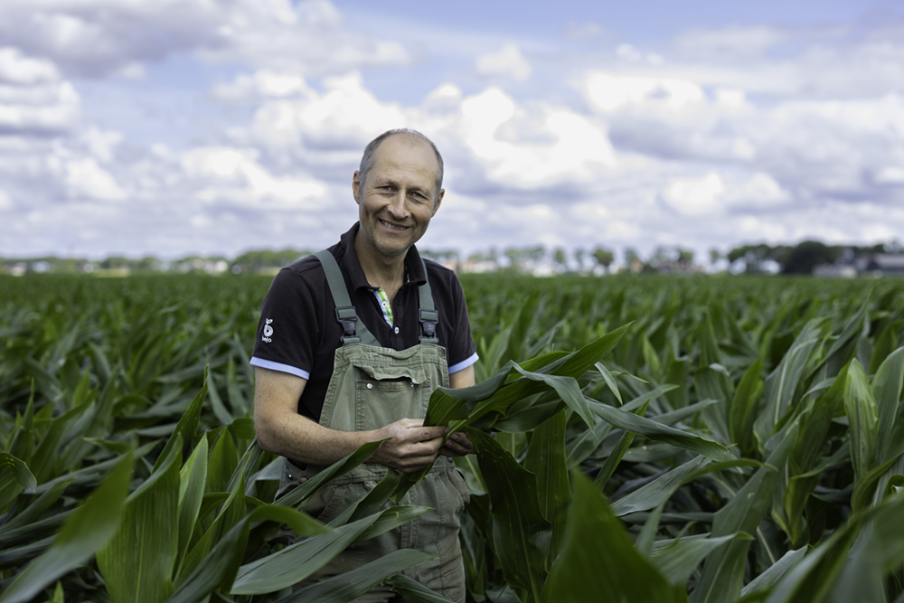 let-assortiment-banners