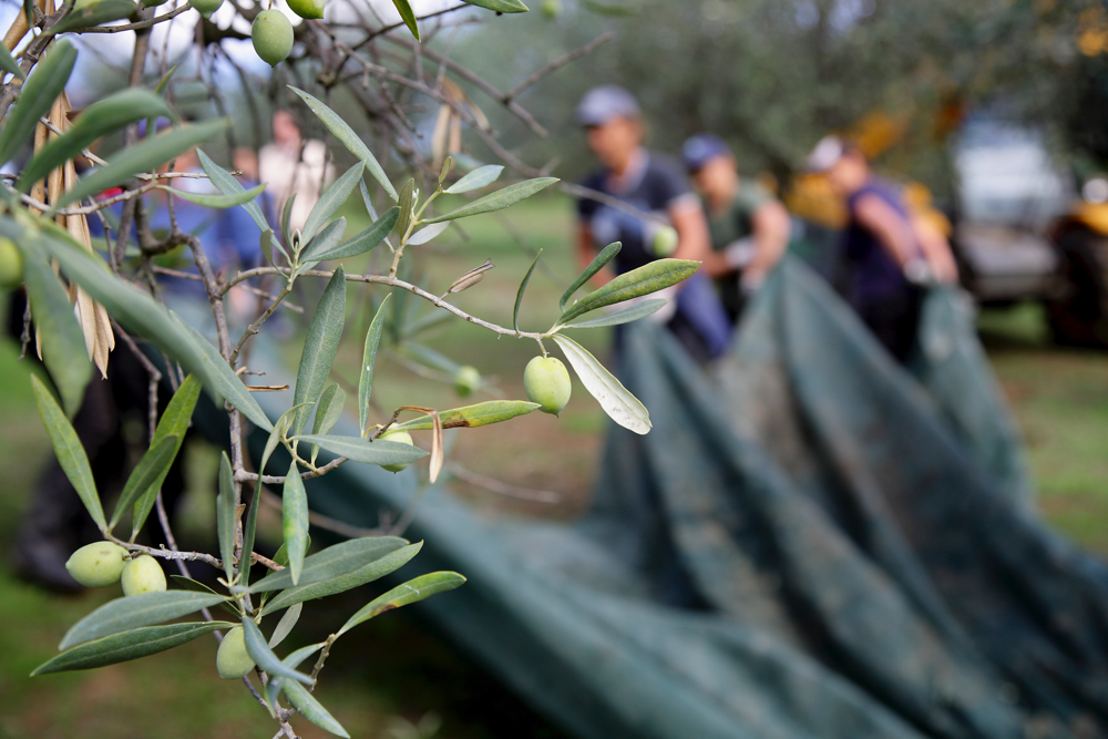 let-assortiment-banners